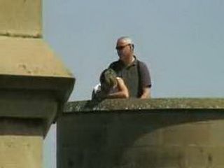 Mature Tourist Couple Thought Nobody Can See Them Fucking While Visiting Ancient Castle