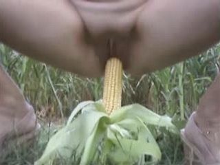 Amateur Girl Fucks Corn Cob In The Open Field